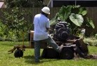Victory Heights QLDstump-grinding-services-1.jpg; ?>