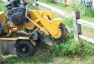 Victory Heights QLDstump-grinding-services-3.jpg; ?>